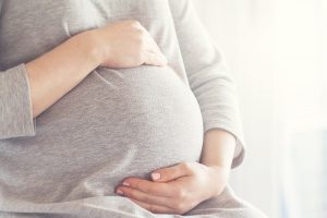 ラット母親の低タンパク質摂取はその胎児が成長したときの骨格筋タンパク質合成量を減少させる