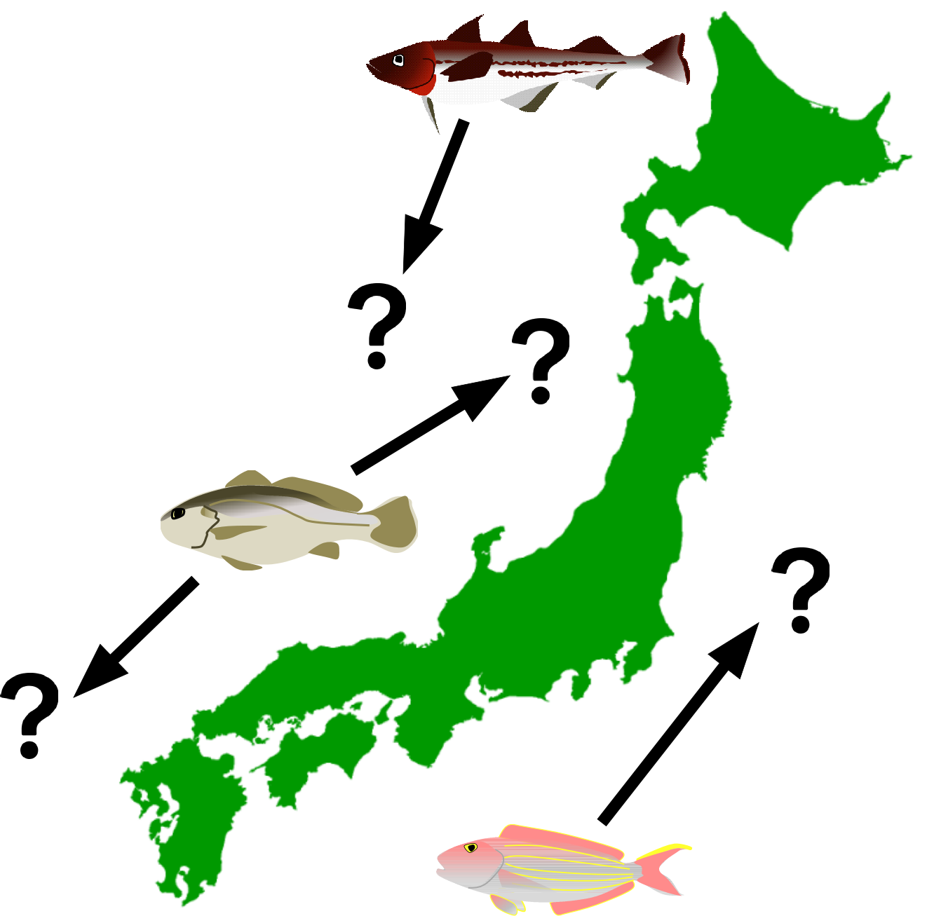 海水魚の生息域はどう変わる?環境DNA解析による予測