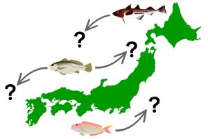 海水魚の生息域はどう変わる？環境DNA解析による予測