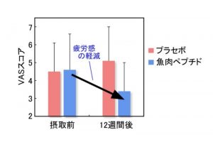 魚肉ペプチドの抗疲労効果