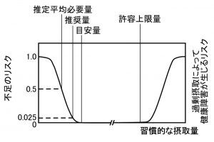 タンパク質を過剰摂取するとどうなる？