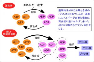 魚卵にはプリン体が多いのか？　痛風が気になる方へ