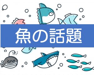 魚にまつわる慣用句