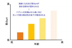 〈消化吸収の基礎〉胃液中の消化酵素