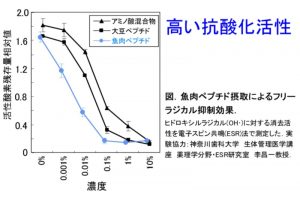 日本酸化ストレス学会学術集会にて研究会ポスター掲示