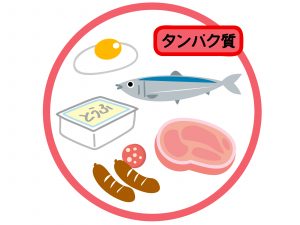 9月11日はたんぱく質の日