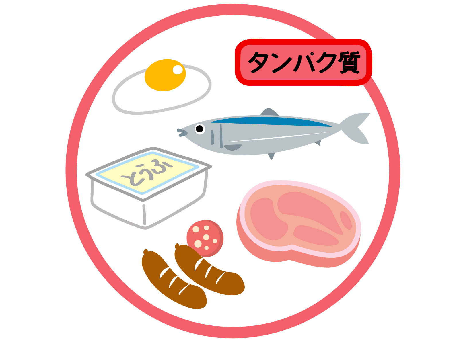 9月11日はたんぱく質の日