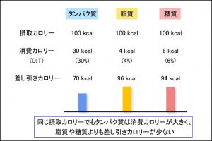 食事誘発性熱産生（DIT）