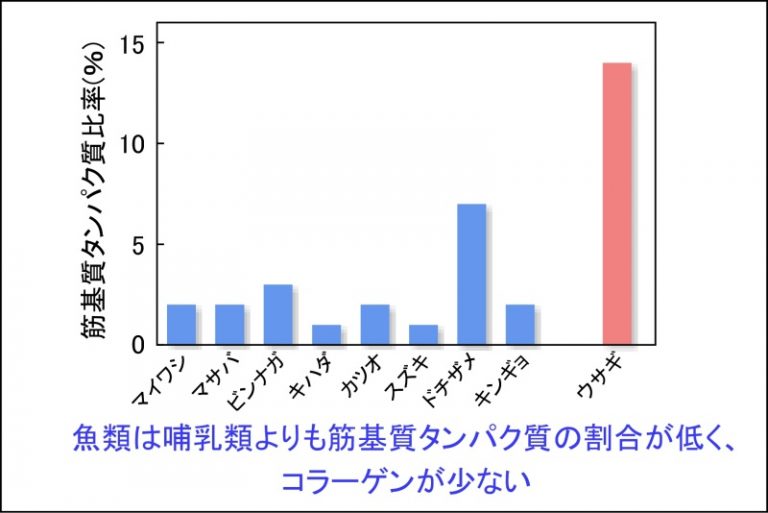 魚は地上を歩かないから腱や筋が少ない | お魚たんぱく健康研究会