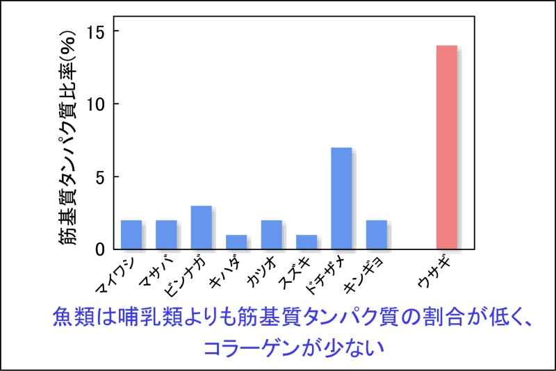 魚は地上を歩かないから腱や筋が少ない