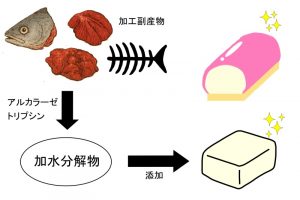 すり身加工副産物由来タンパク質加水分解物がすり身のタンパク質酸化を抑制し、ゲル化特性を向上させる