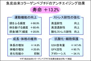 魚皮由来コラーゲンペプチドのアンチエイジング効果